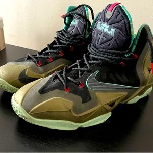 NIKE LEBRON JAMES 11 KINGS PRIDE 2013